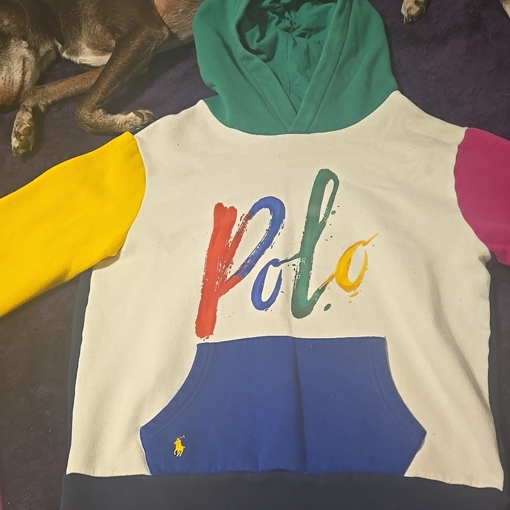 Polo by Ralph Lauren Multicolor Kids Hoodie and short set